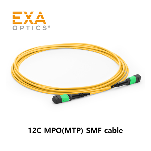 EXA-12C-MPO-SMF
