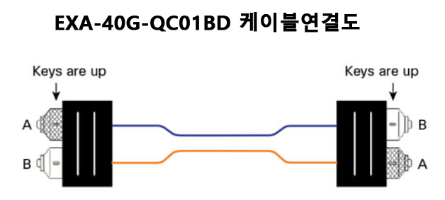 EXA-40G-QC01BD CONNECTION
